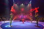 12è Festival Internacional del Circ Elefant d'Or de Girona The Acrobatic Troupe of Dezhou City · Manipulació de tridents · Xina 