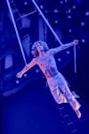 Noches de Circo 2024 Antony Cesar - Cintes àeries - França