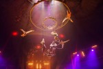 10è Aniversari Festival Internacional del Circ Elefant d'Or Coronation - cintes aèries - Rússia