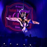10º Aniversario Festival Internacional del Circo Elefante de Oro Diamond Wings · circulo aéreo - Azul