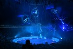 11è Festival Internacional del Circ Elefant d'Or de Girona Flyers Valencia - Doble rueda de la muerte - Colombia