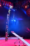 10º Aniversario Festival Internacional del Circo Elefante de Oro Troupe Zola New Generation · báscula - Rojo