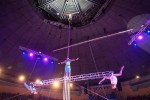 9è Festival Internacional del Circ Elefant d'Or Ladder led by A. Volozhanin - Equilibris en escales fixes (Cia. Rosgoscyrk)