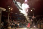 Trapezi, la Fira del Circ de Catalunya · 22a edició David Dimitri 'L'homme cirque'