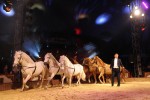 Gran Circ de Nadal de Girona 'Màgic' Sacha Houcke · Cavalls · França