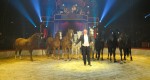Gran Circ de Nadal de Girona 'Màgic' Sacha Houcke - Cavalls - França