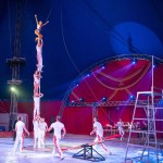 Festival Internacional del Circ “Elefant d’Or” 2021 - Edició Especial: Festival de Festivals Troupe Kevin Richter - bàscula - Hongria